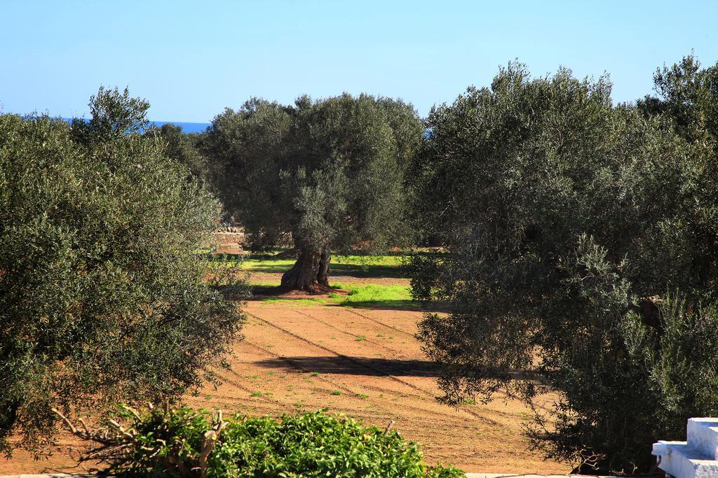 Bed and Breakfast Masseria Pittore Savelletri Exteriér fotografie